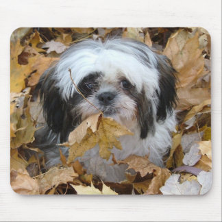 shih-tzu puppy mouse pad