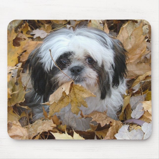 shih-tzu puppy mouse pad (Front)