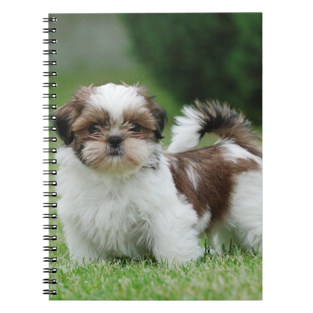 Shih tzu puppy notebook (Front)