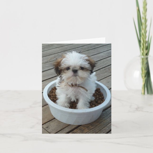 Shih Tzu Puppy Notecards (Front)