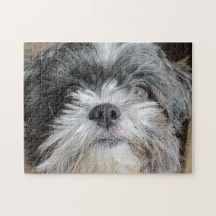 Shih Tzu Puzzle
