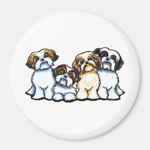 Shih Tzu Quartet Magnet