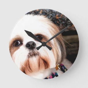 Shih Tzu Round Clock