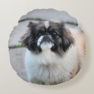 Shih Tzu Round Cushion