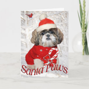 Shih Tzu Santa Paws Cards