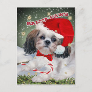 Shih Tzu Santa Paws gifts Holiday Postcard