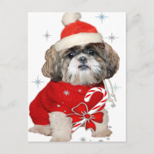 Shih Tzu Santa Paws gifts Holiday Postcard