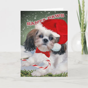 Shih Tzu Santa Paws Holiday Card