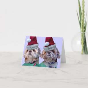 Shih Tzu - Shih Two Holiday Card