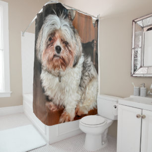 Shih Tzu Shower Curtain