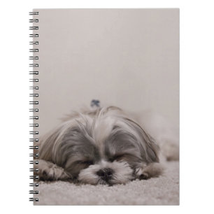 Shih tzu Sleeping Dog Notebook
