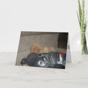 Shih Tzu Sympathy Card