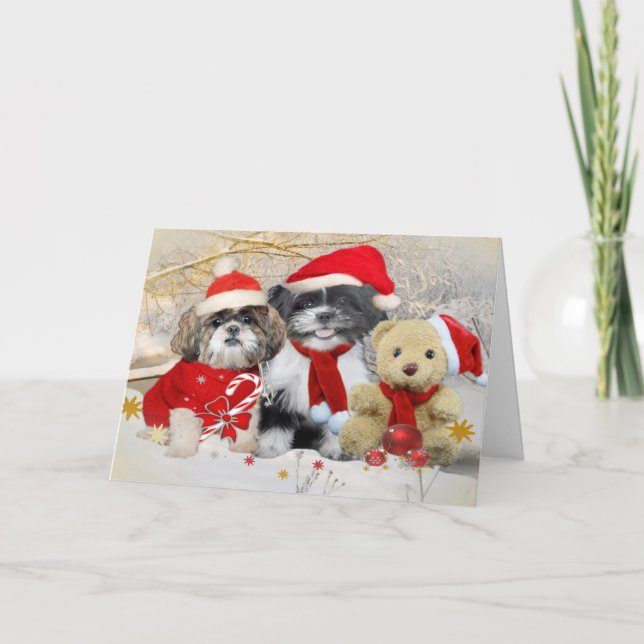Shih Tzu & Teddy Bear Xmas Card (Front)