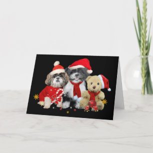 Shih Tzu & Teddy Bear Xmas Card
