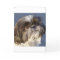 Shih Tzu Thinking of You Greeting Card - Verse