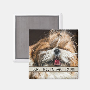Shih tzu tongue funny Don't tell me what to do Magnet