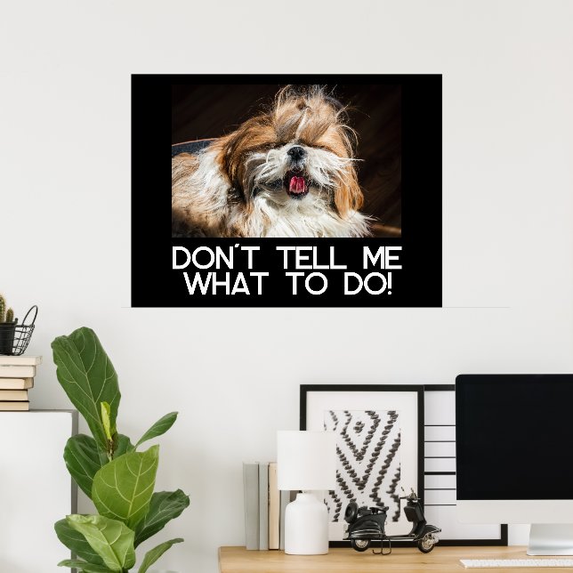 Shih tzu tongue funny Don't tell me what to do Poster (Home Office)