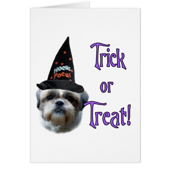 Shih Tzu Trick (Front)