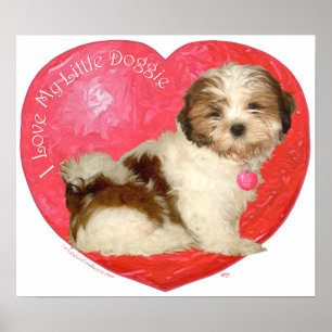 Shih Tzu Valentine's Day Poster