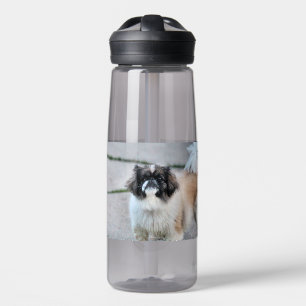 Shih  tzu water bottle