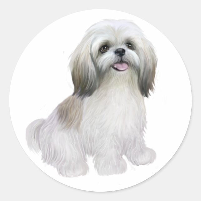 Shih Tzu - White with grey-tan Classic Round Sticker (Front)
