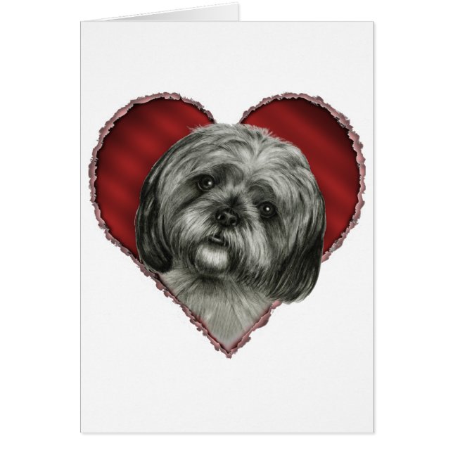 Shih Tzu with Heart (Front)