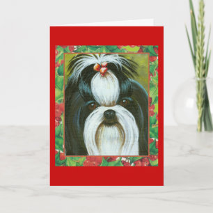 Shih Tzu with Holly for Christmas Holiday Card