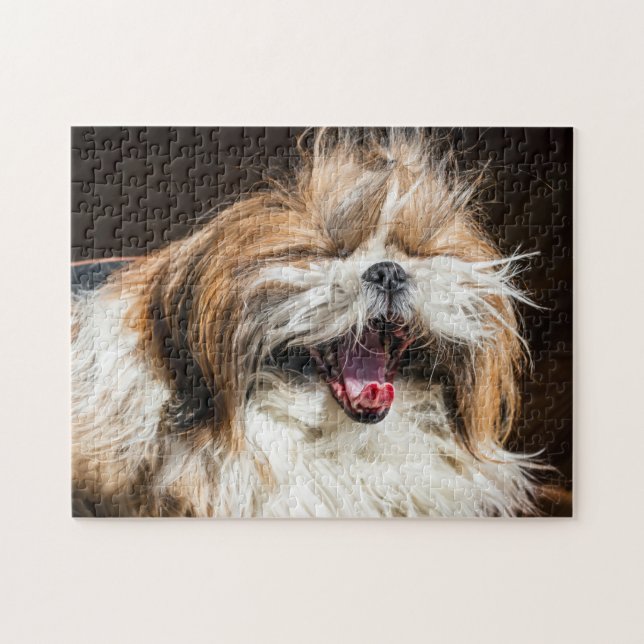 Shih tzu yawning laughing funny cute jigsaw puzzle (Horizontal)