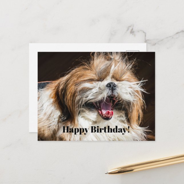 Shih tzu yawning laughing funny Happy birthday  Postcard (Front/Back In Situ)