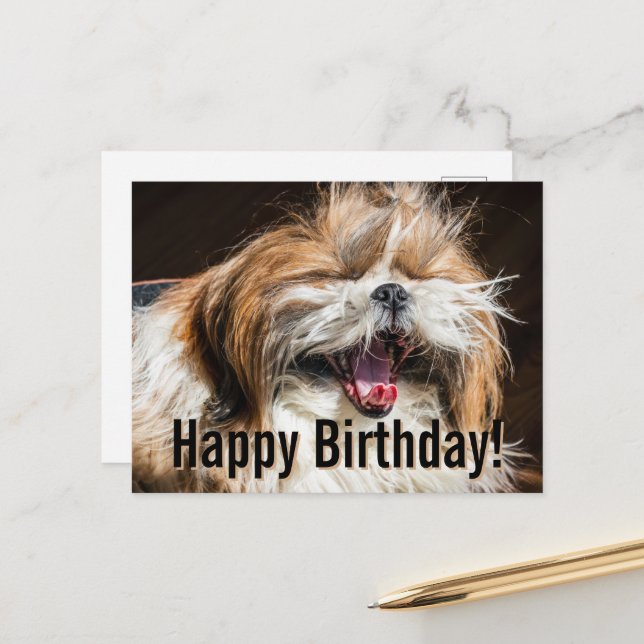 Shih tzu yawning laughing funny Happy birthday  Postcard (Front/Back In Situ)
