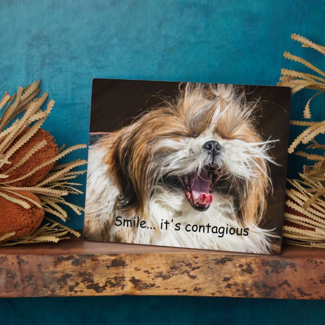 Shih tzu yawning laughing smile text customise plaque (Side)