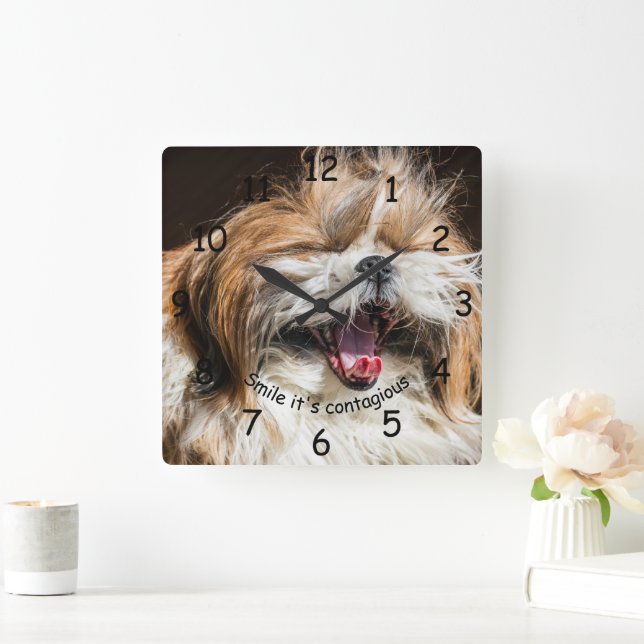 Shih tzu yawning laughing smile text customize square wall clock (Home)