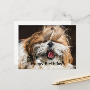 Shih tzu yawning tongue funny cute Happy birthday Postcard