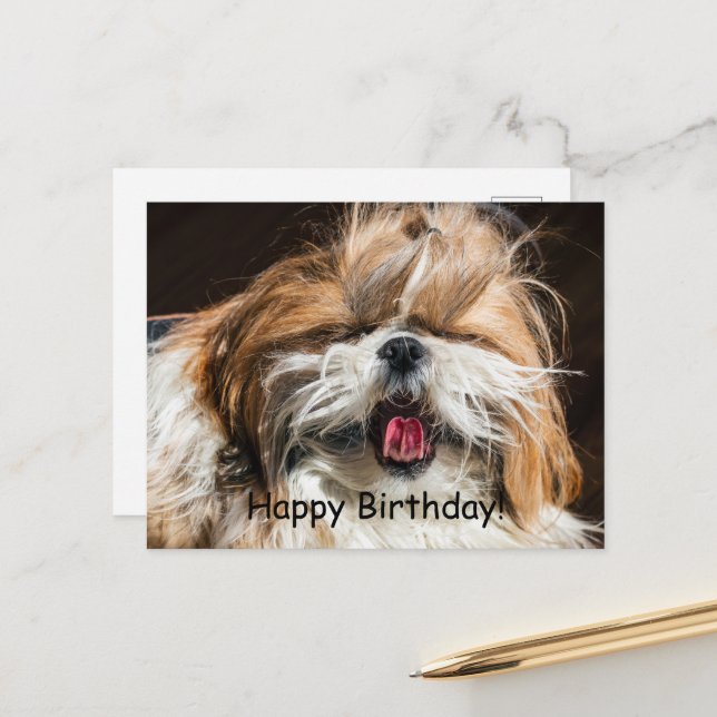 Shih tzu yawning tongue funny cute Happy birthday Postcard (Front/Back In Situ)