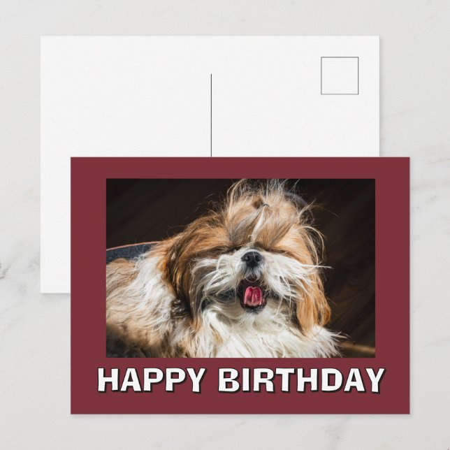 Shih tzu yawning tongue funny cute Happy birthday Postcard (Front/Back)