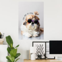 Shih Tzu You are so Cool cute fun Sunglasses Photo