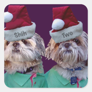 Shih Tzues Shih Two Christmas Sticker