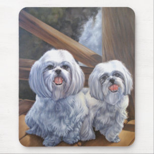 Shih Tzus Mouse Pad