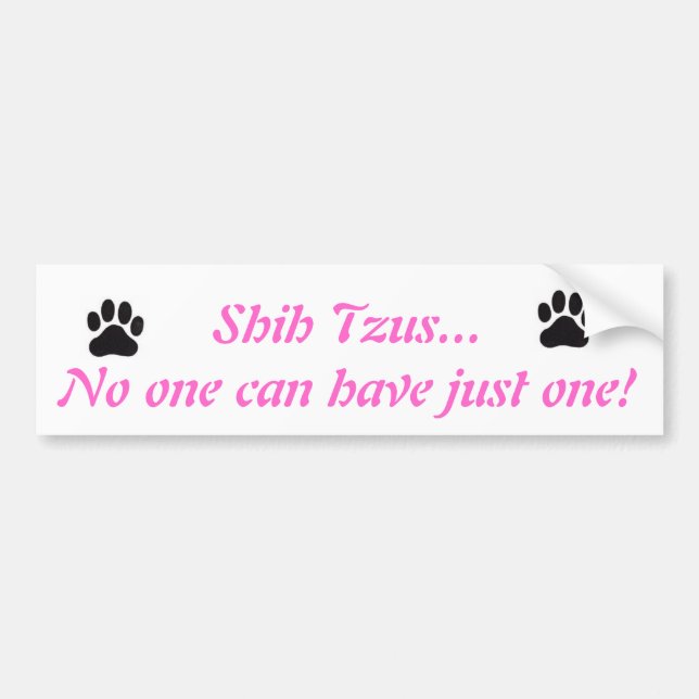 Shih Tzus...No one can have just one! Bumper Stick Bumper Sticker (Front)