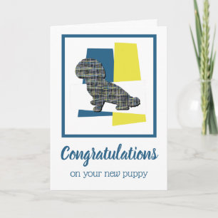 Shihpoo Puppy Dog Congratulations Greeting Card