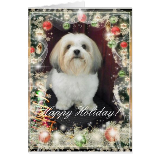 ShihTzu Christmas Card