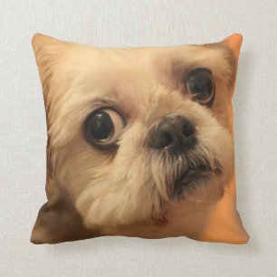 Shihtzu Cushion