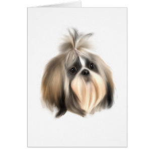 ShihTzu Dog
