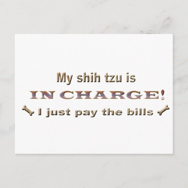shihtzu postcard (Front)