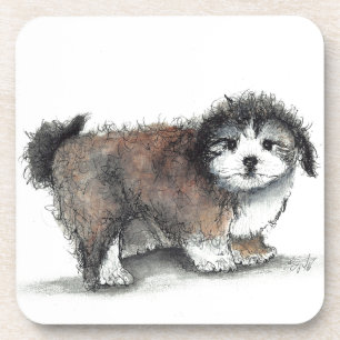 Shihtzu Puppy Dog, Pet Coaster