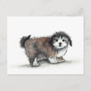 Shihtzu Puppy Dog, Pet Postcard