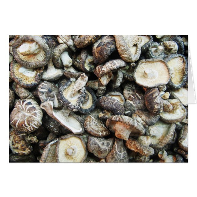 Shiitake Mushrooms (Front Horizontal)