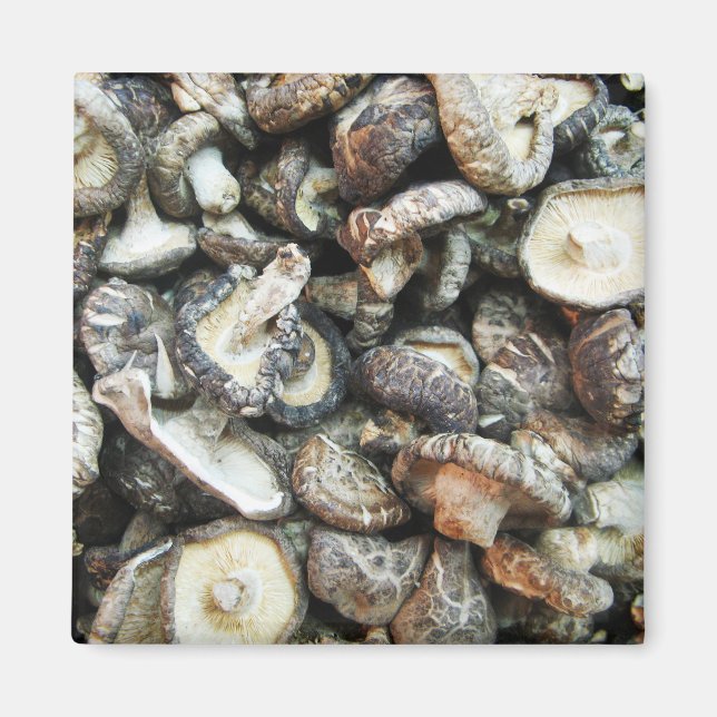 Shiitake Mushrooms Magnet (Front)
