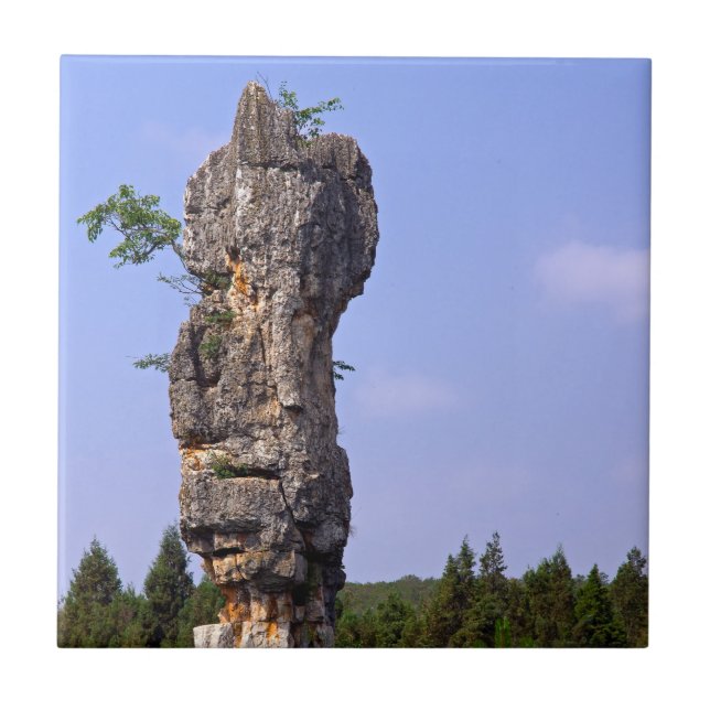 Shilin pinnacles Stone forest - Yunnan,China,Asia Ceramic Tile (Front)