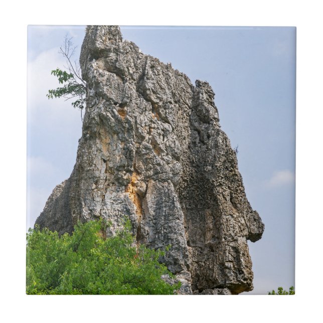 Shilin pinnacles Stone forest - Yunnan,China,Asia Ceramic Tile (Front)